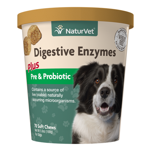 Dog Vitamins & Supplements — Mackey's