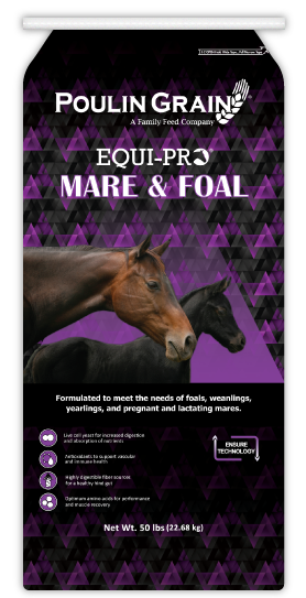 Poulin Grain Equi-Pro Mare & Foal