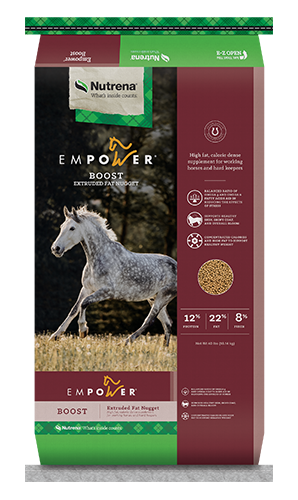 Nutrena Empower Boost Horse Supplement