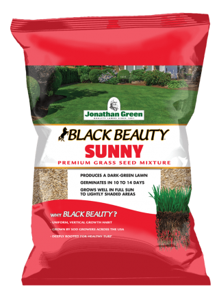 Jonathan Green Black Beauty Sunny Grass Seed