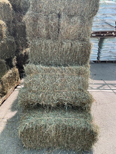 First Cut Hay Bale ***NOW IN STOCK!***