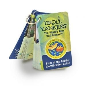 Droll Yankees Birds at the Feeder Identification Guide