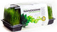 SunBlaster T5HO Mini Greenhouse Kit