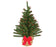 Norway Fir Tabletop Tree with Berries, 24"