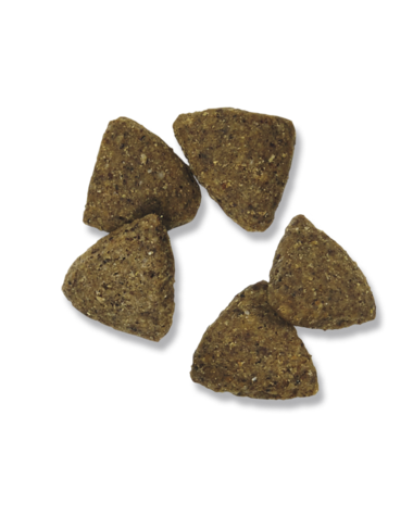 Purina Pro Plan Adult Large Breed Sensitive Skin & Stomach Salmon & Rice Formula Dry Dog Food