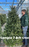 7-8 ft Balsam Fir Fresh Cut Christmas Tree