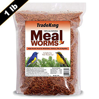 Natural Dried Mealworms