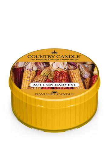 Country Candle by Kringle, Autumn Harvest, Single Daylight