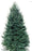 6-7 ft Balsam Fir Fresh Cut Christmas Tree