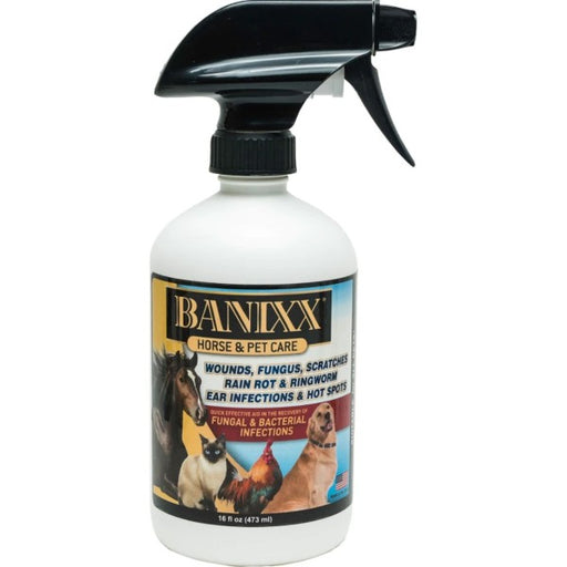 Banixx Horse & Pet Care Spray