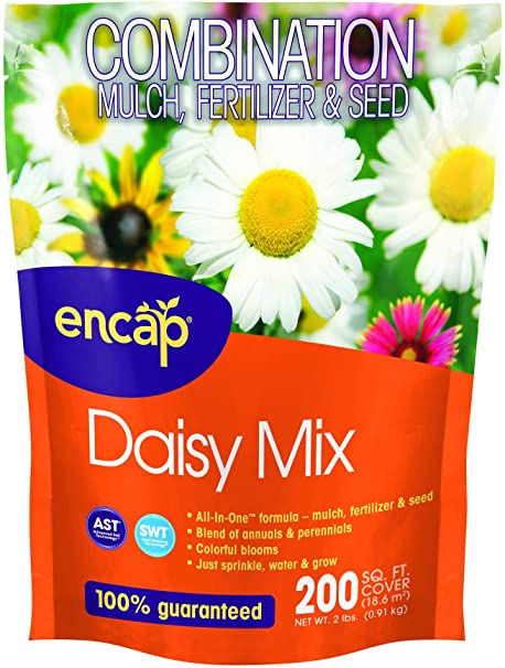 Encap Wildflower Daisy Mix