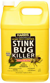 Harris Home Pest Control Stink Bug Killer, 1 gal