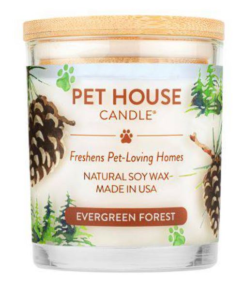 Pet House Candle, Evergreen Forest