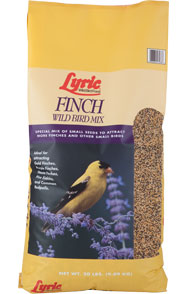 Lyric Finch Bird Food