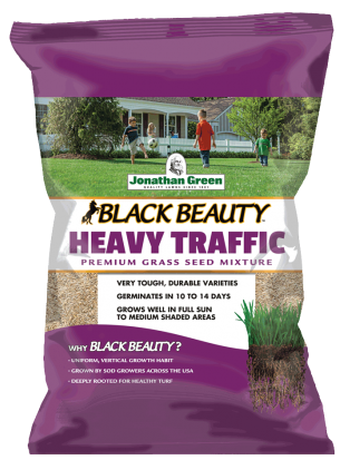 Jonathan Green Black Beauty Heavy Traffic
