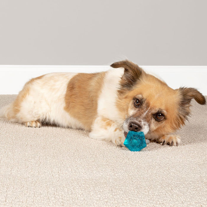 Jewel Pop Treat Holding Dog Toy