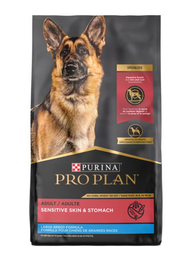 Purina Pro Plan Adult Large Breed Sensitive Skin & Stomach Salmon & Rice Formula Dry Dog Food