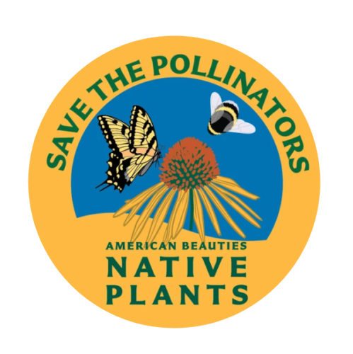 Witch Hazel, Harvest Moon Witch Hazel