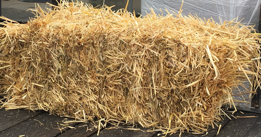 ***NOW IN STOCK*** Straw Bale