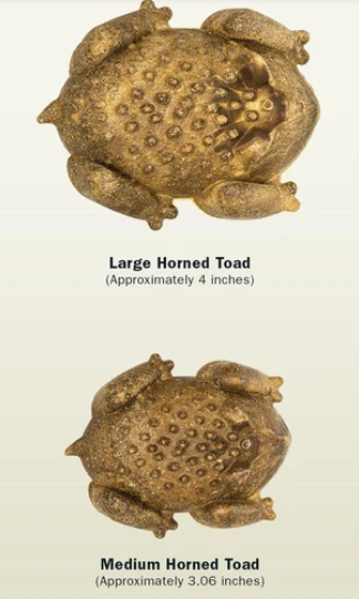 Redbarn Naturals Chew-A-Bulls® Horned Toad Dental Dog Treat - Large, 4"