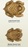 Redbarn Naturals Chew-A-Bulls® Horned Toad Dental Dog Treat - Medium, 3.06"