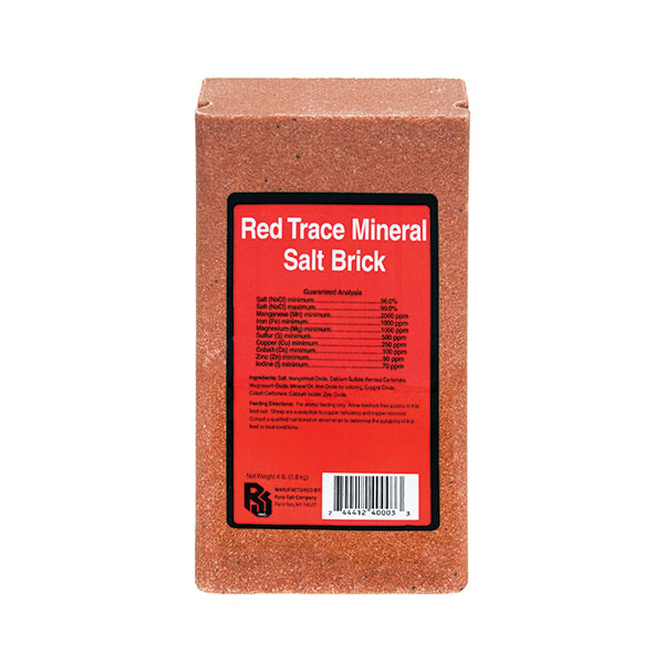 Trace Mineral Salt Block